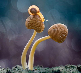 智慧便利优质的DDOS网页端平台